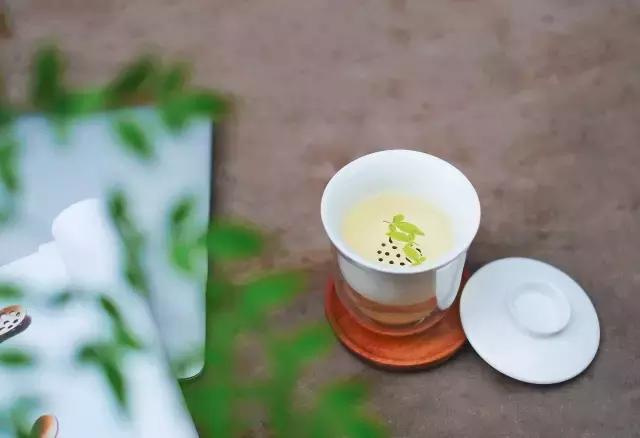 杨绛人与人之间最好的相处模式,杨绛听别人说话