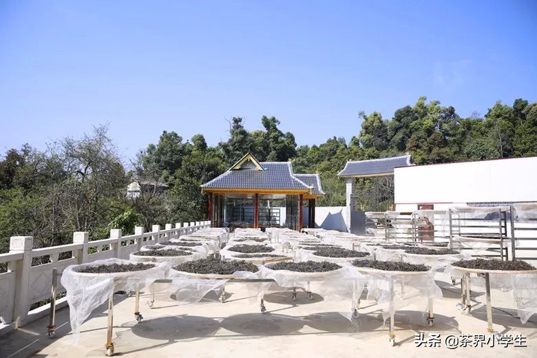 中吉号普洱茶易武正山,中吉号普洱茶24年