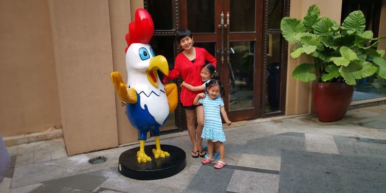 三亚红树林有亲子活动,三亚红树林和海韵