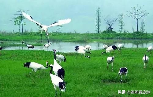 星湖国家湿地公园作用,广东星湖湿地