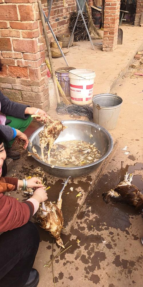 儿子把老爸的文玩核桃砸了,熊孩子弄坏文玩核桃