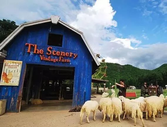 去泰国旅游免签证费时间,贵州去泰国旅游签证