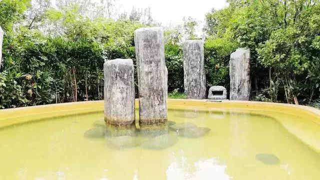 曲靖这31个景点你都去过了吗,曲靖千亩花海美景