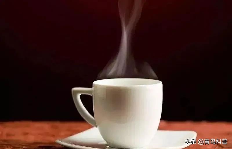 最好的饮料就是温水,热水和饮料