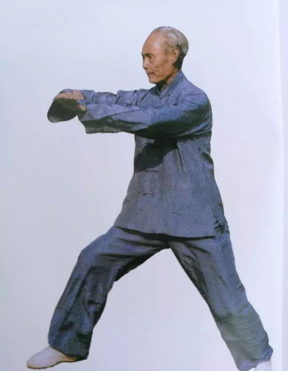 南阳市区武术馆,南阳地区武术馆