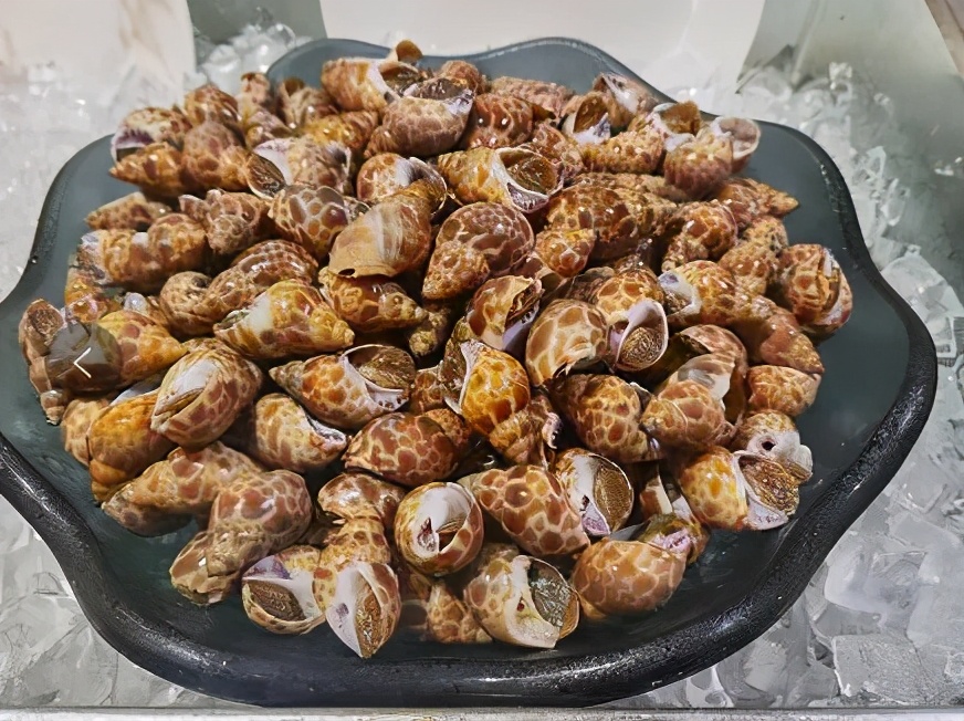 佛山华美达酒店附近美食,广州华美达酒店自助餐厅