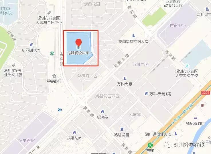 深圳龙岗区龙城初级中学简介,龙城初级中学简介