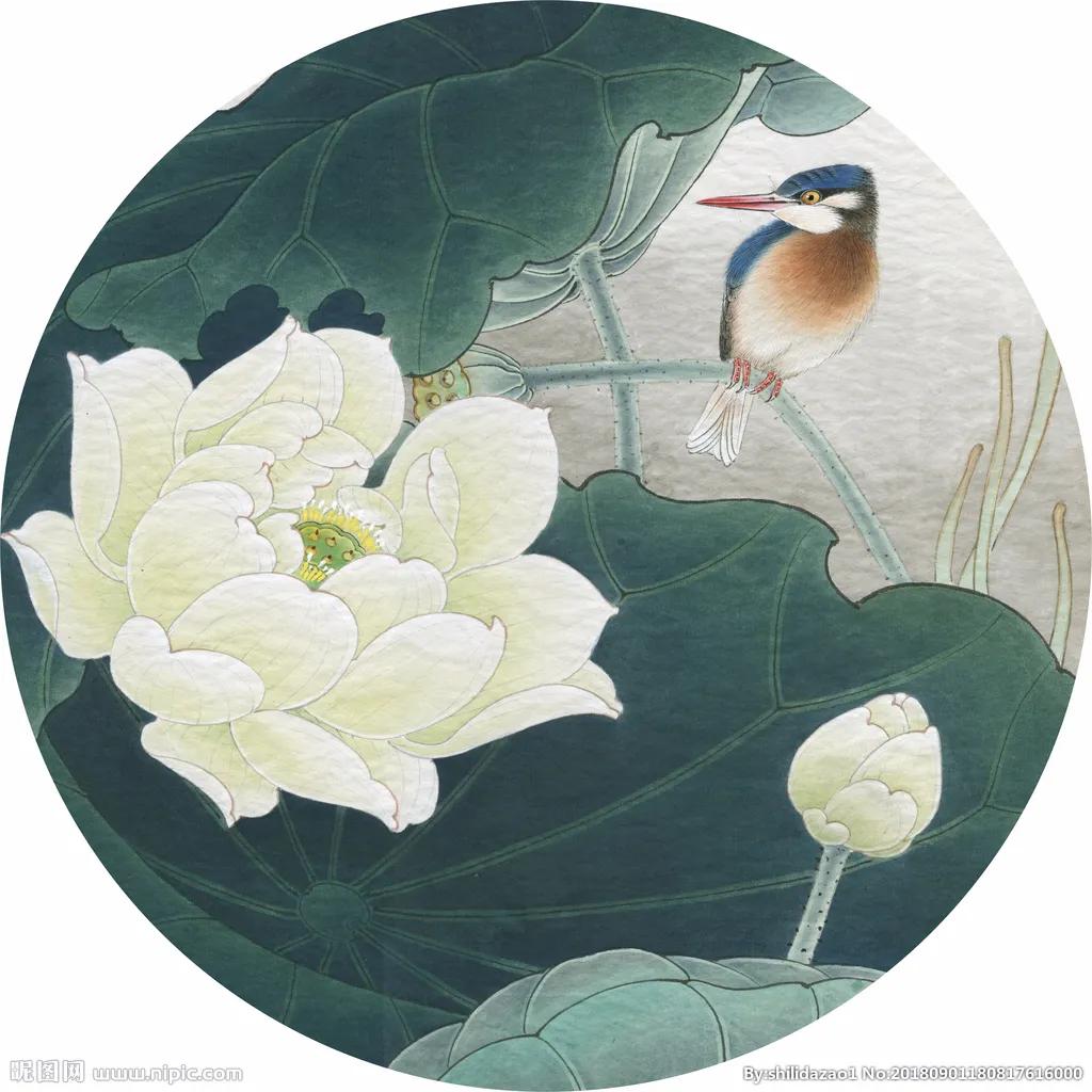 「我爱你，纳杰」乘风破浪勇于挑战