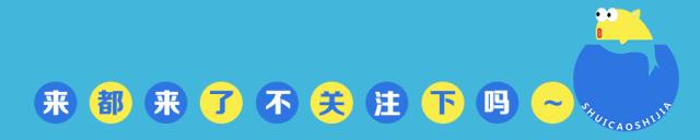 40厘米鱼缸杜鹃根造景,杜鹃根水草缸