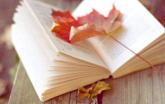 aeis复习方法,aeis备考机构