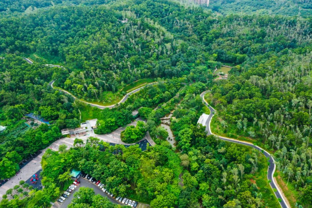 深圳赏月推荐,龙岗中心赏月