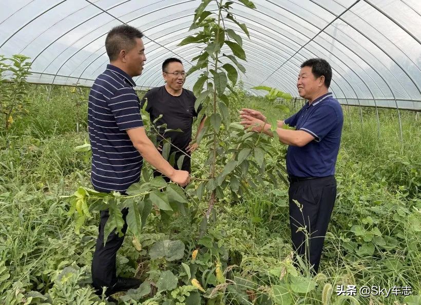 7万公里老款宝马x5,宝马x5的优缺点