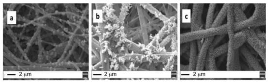 molecules,molecules的补充图