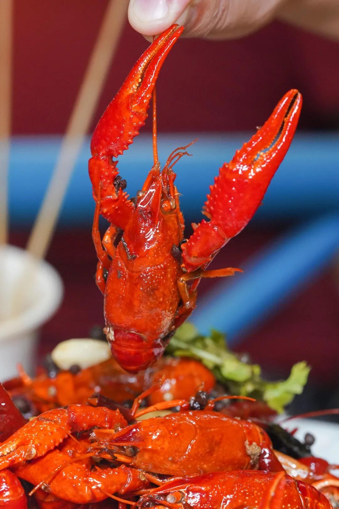 济南老金烧烤和老胖烧烤哪个好,带你来美食街逛逛