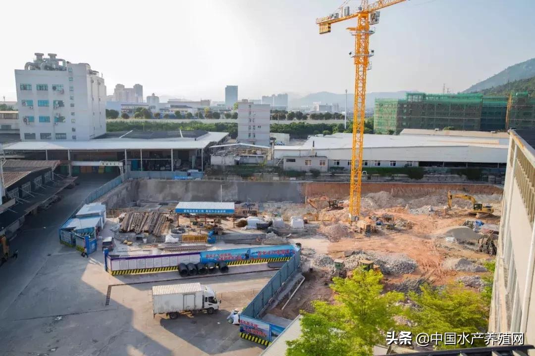 2017十大水产动保企业,水产饲料企业排行