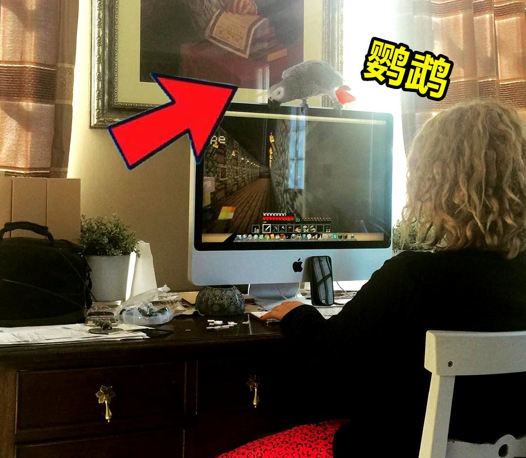 minecraft里的狗怎么才能有,minecraft如何养熊猫