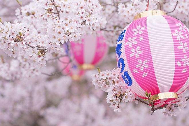 为什么大学生要学日语,日语与什么专业结合就业前景好