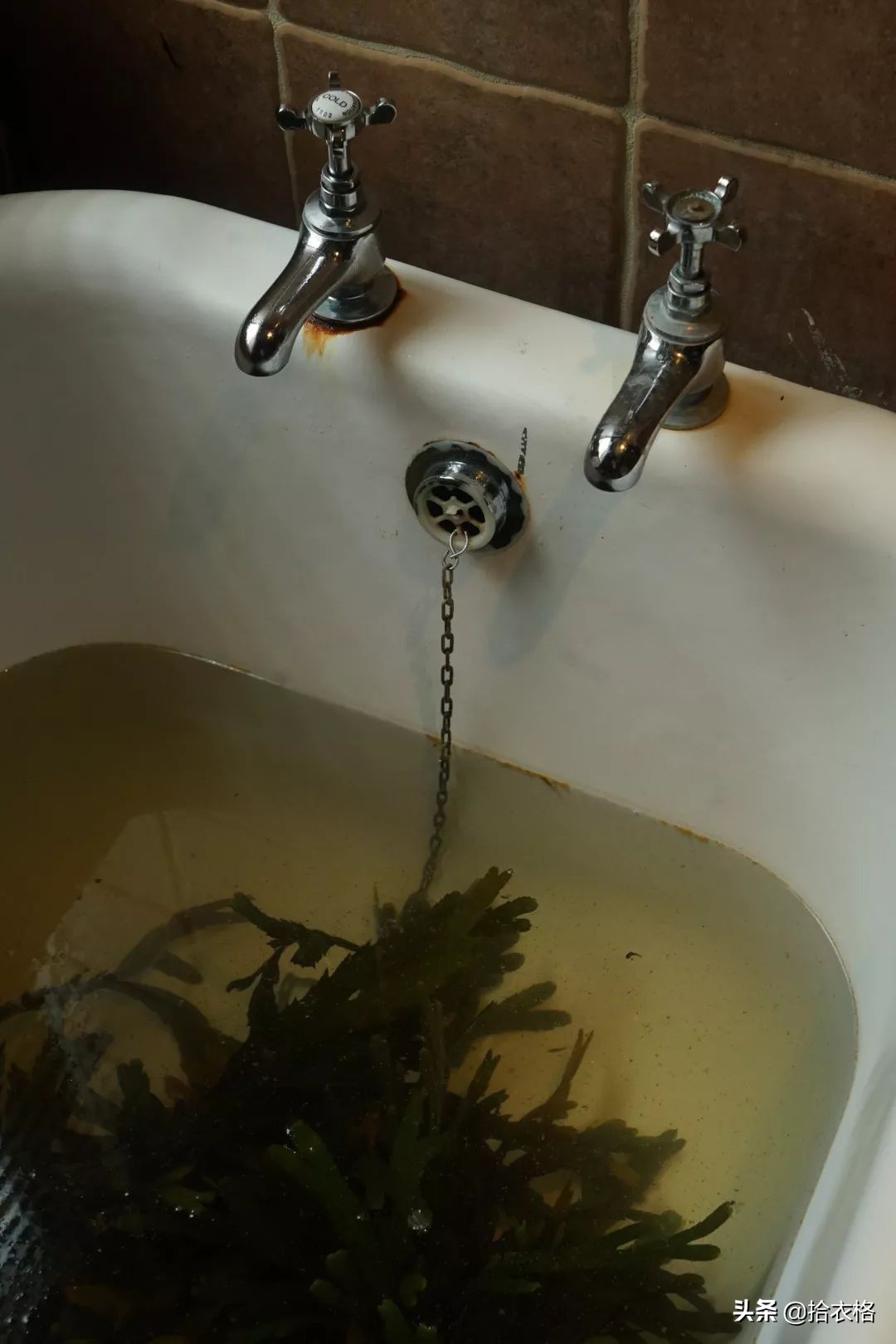 那些异国情趣SPA怎么这个亚子？