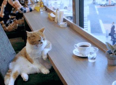 失恋了吃得多反而越来越瘦,失恋可以暴瘦的视频