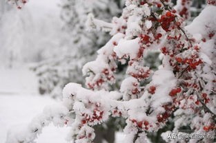 2019开篇|继续走着,笑着歌笑点