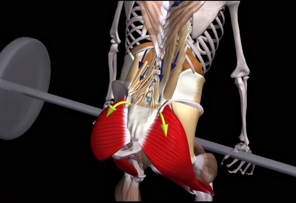 久坐腰骶麻木疼活动后减轻,久坐导致腰骶部疼吃什么药