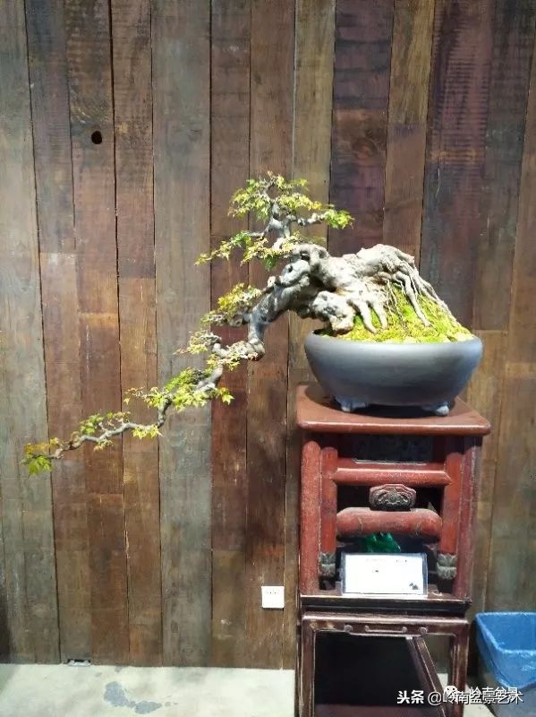 閲戝脊瀛愬湪鐩嗘櫙涓殑鍦颁綅,姒嗘爲鍦ㄧ泦鏅晫鍦颁綅