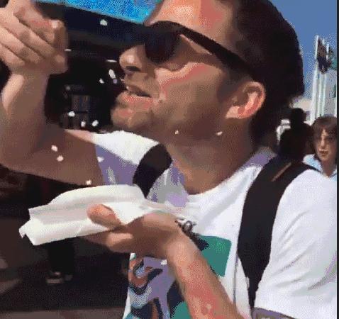 凶猛的海鸥,海鸥残忍伤害企鹅