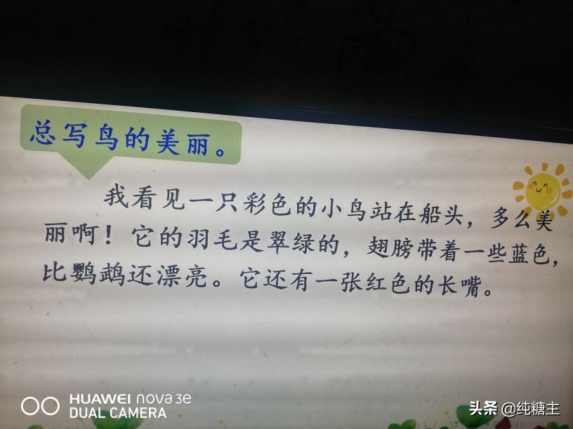 三年级语文上册搭船的鸟预习笔记,三年级搭船的鸟课文笔记