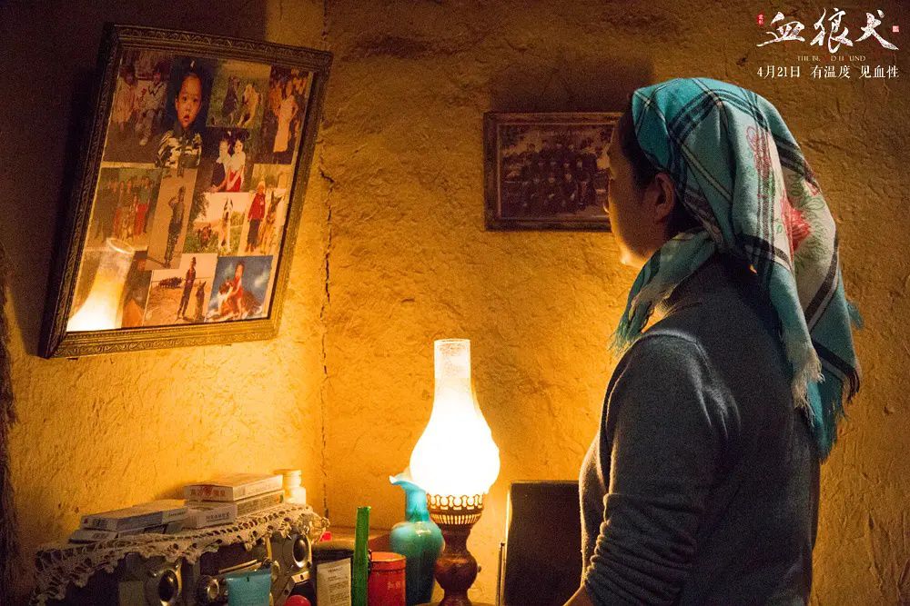 血狼犬电影有意思吗,血狼犬超清