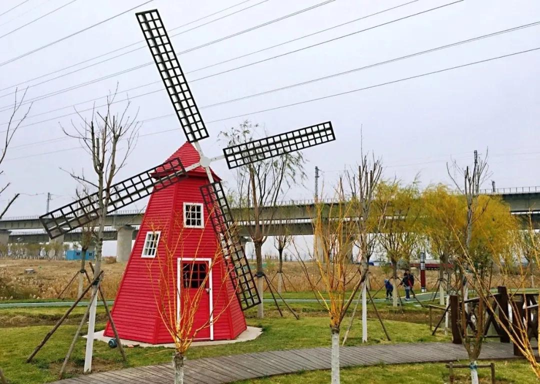 一个不出郑州的踏青好去处,天津春游公园推荐