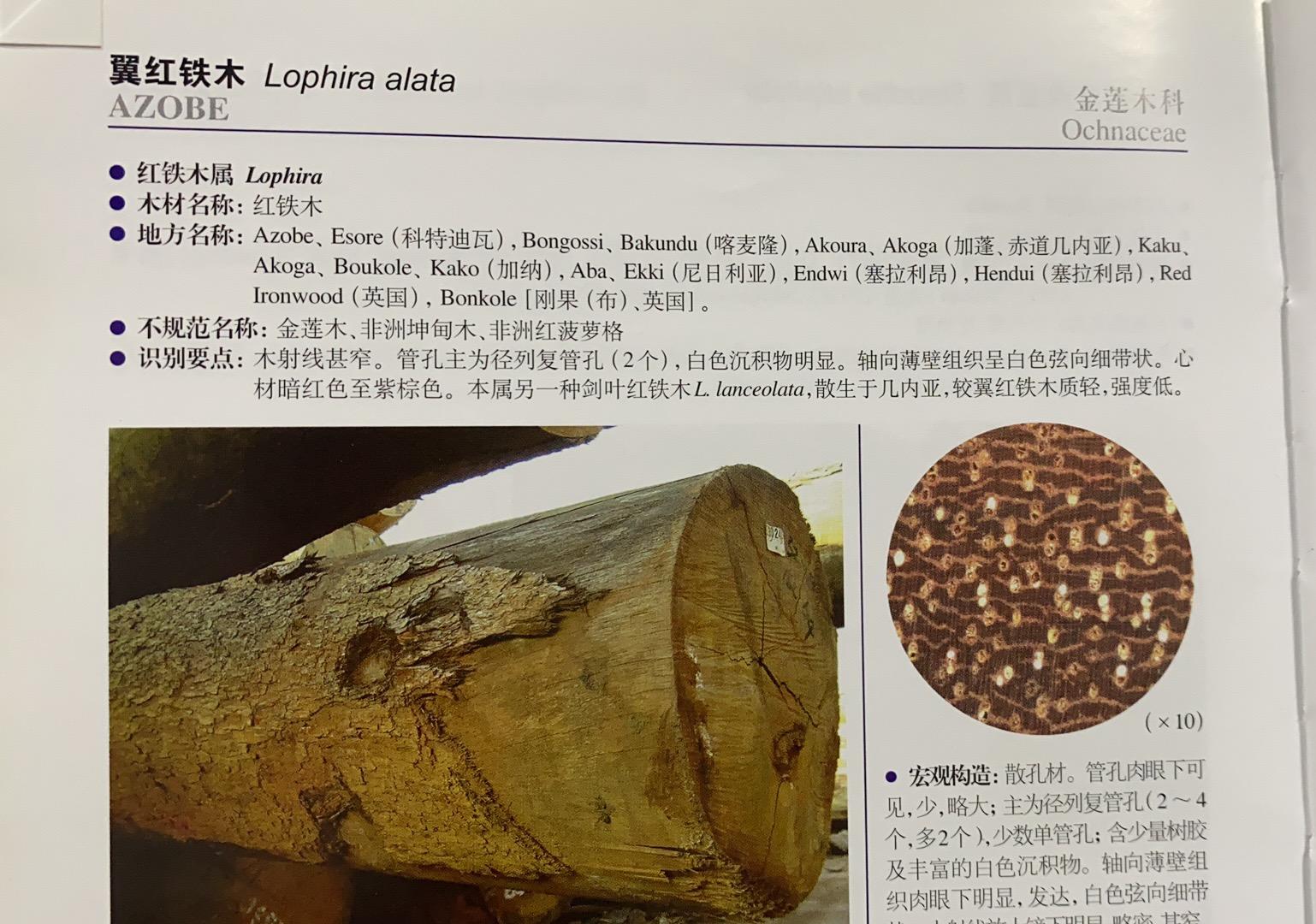 红菠萝格产地哪里,菠萝格一般用什么木材