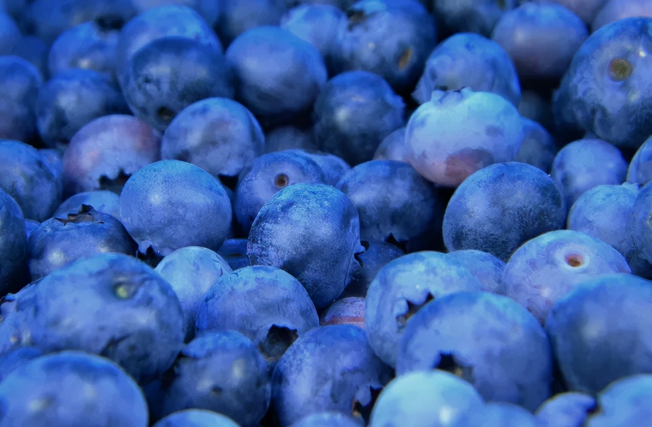 节食减肥只瘦腰和肚子,节食减肥腰上的赘肉能减吗