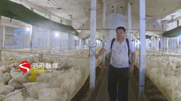 史修银：养殖行业里打拼创业致富不忘家乡人