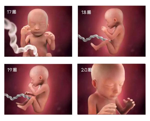 探索生命奥秘的导航图,探索生命的奥秘全彩图