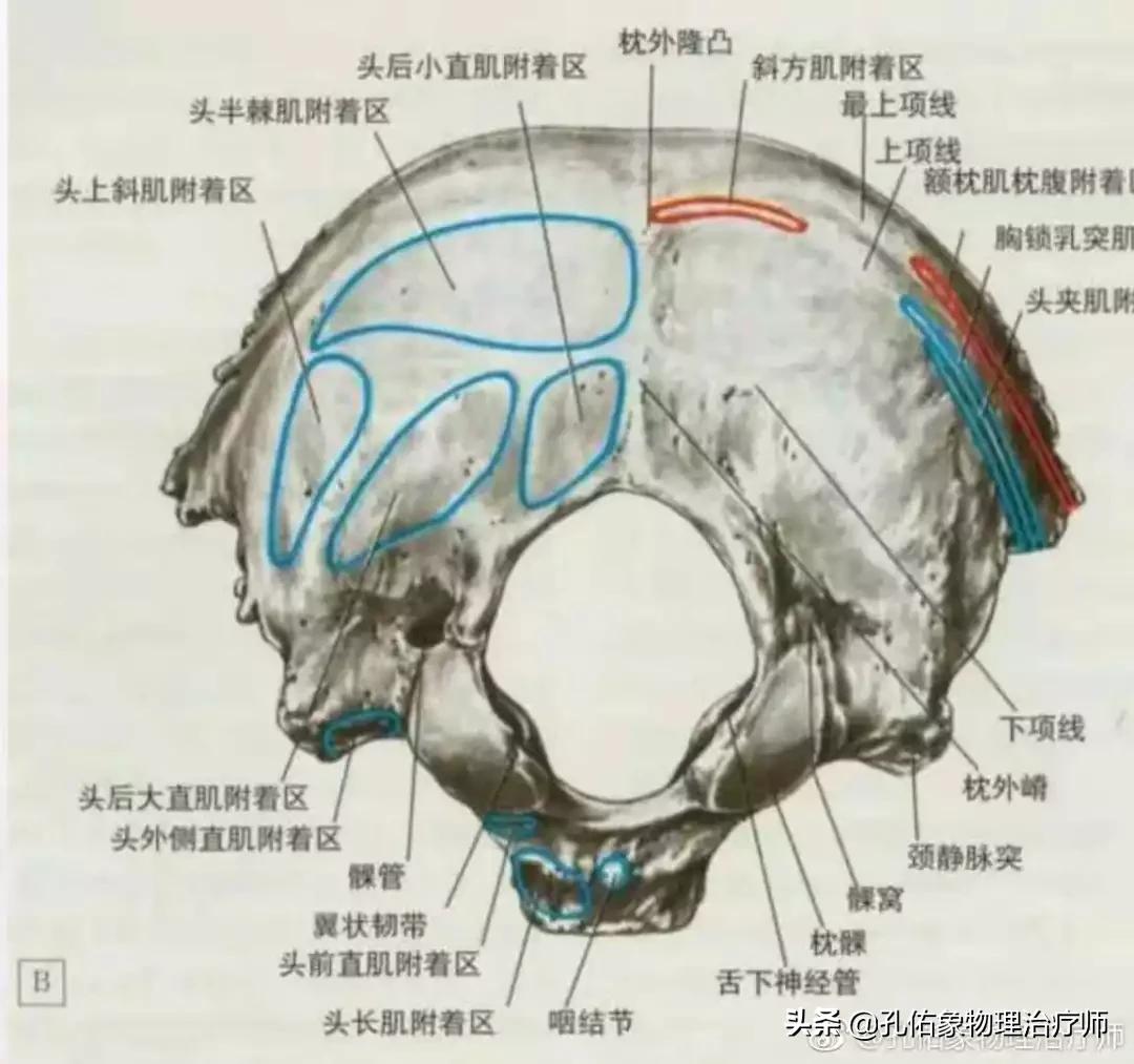 长期头痛头晕是脑出了什么问题,长期头昏头痛怎么办
