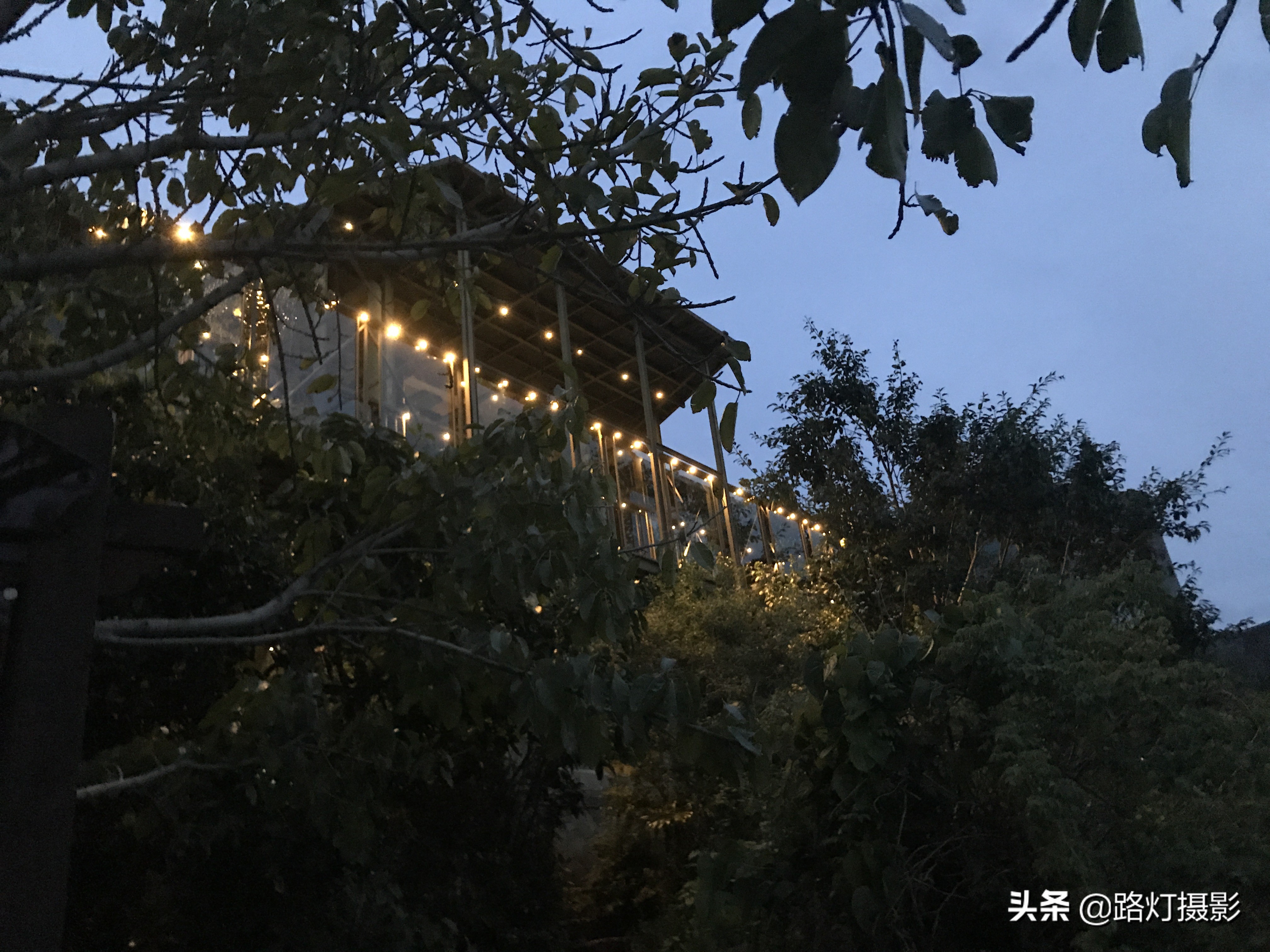 双廊古镇杨丽萍太阳宫夜景,杨丽萍住的双廊古镇