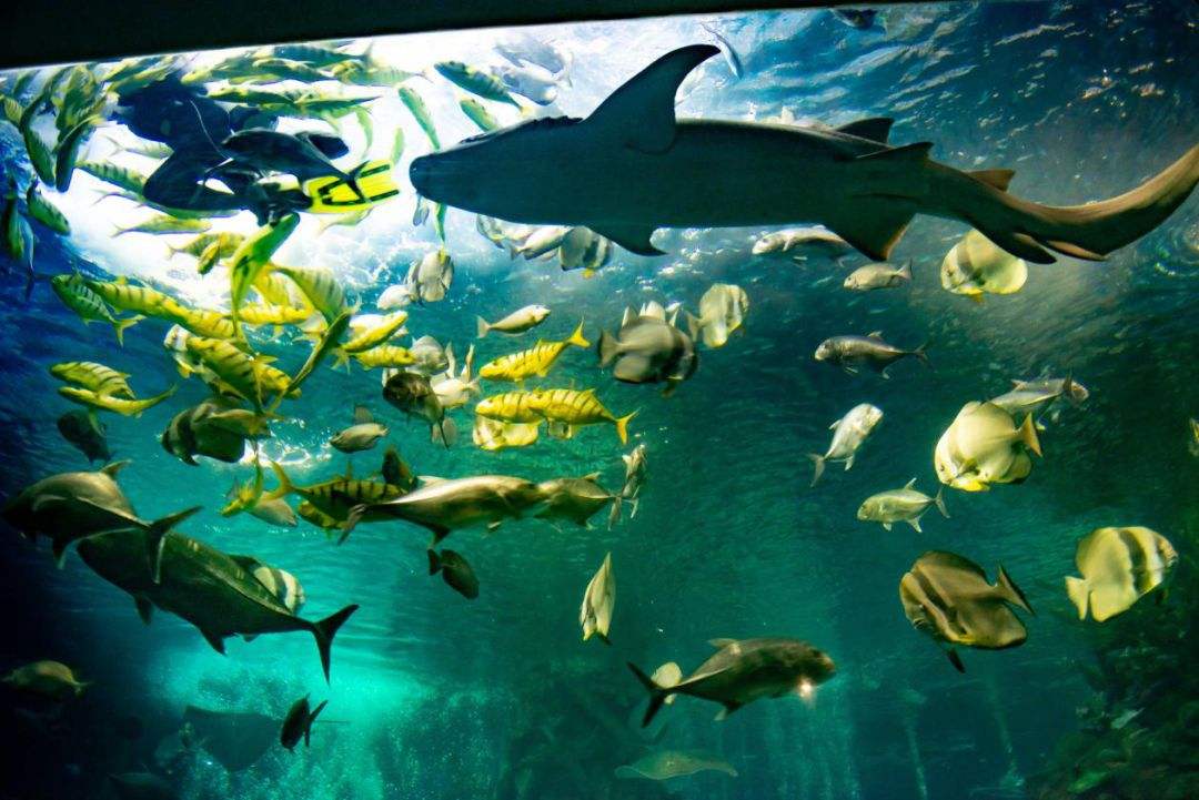 来北京看海，这三个地方都能实现，你会去哪个？