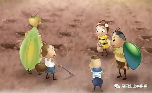 菜园虫虫学数学：种豆苗（植树问题）