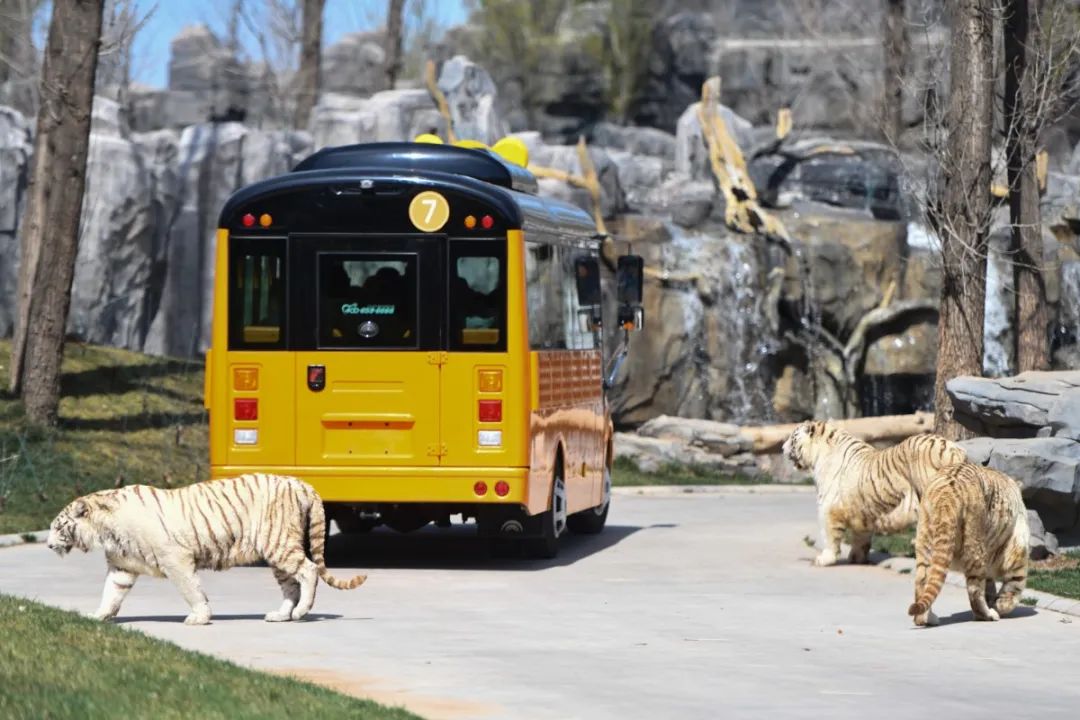 安全出行宝典,北京安全出游好去处