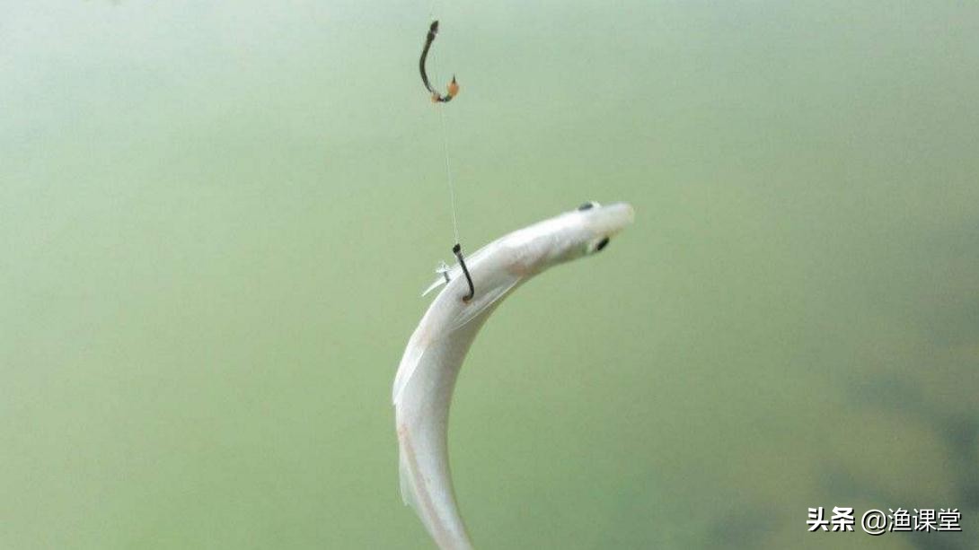 野钓鱼咬钩怎么处理,钓鱼一直被吸走鱼饵怎么办