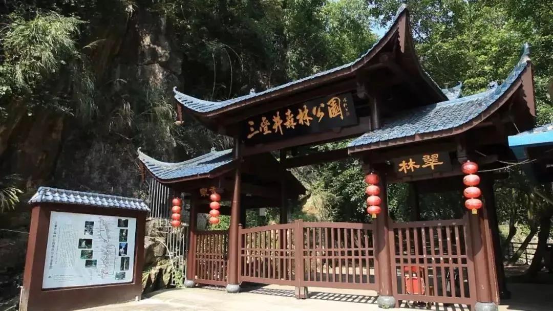 乡村振兴|畅游三叠奇景，慢享仁洲时光