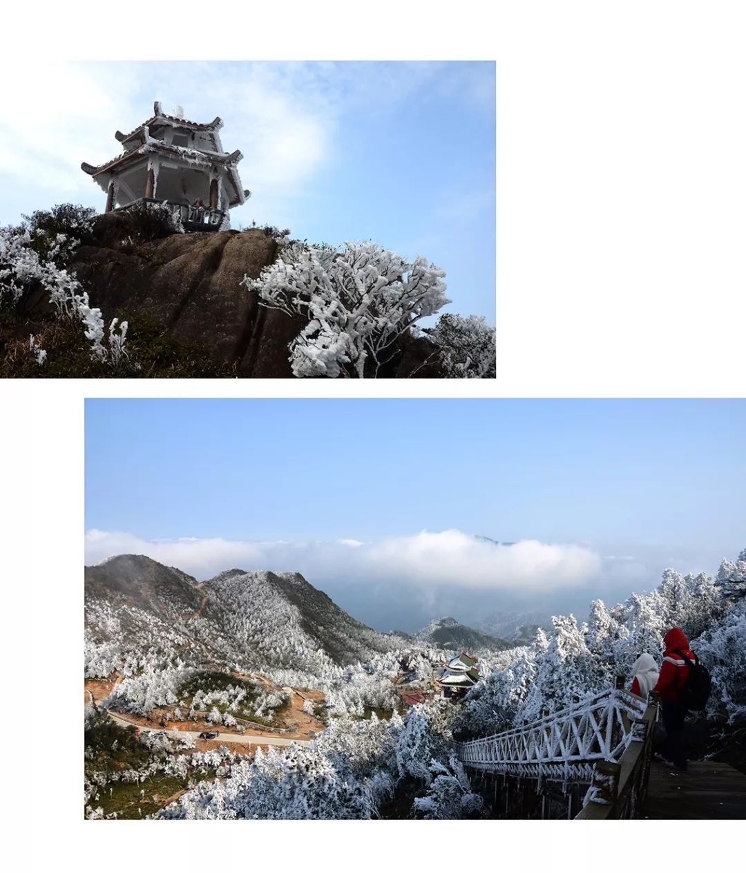 九仙山雾凇1到6度能看到吗,今天九仙山有雾凇吗