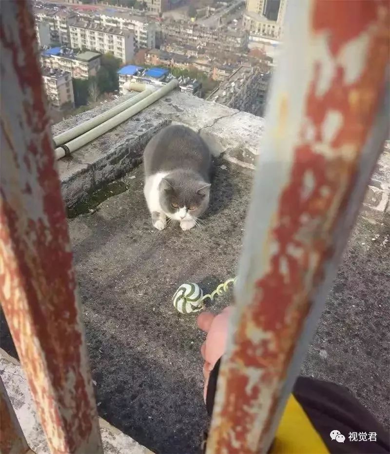 封城后外卖小哥故事,封城小哥跑外卖