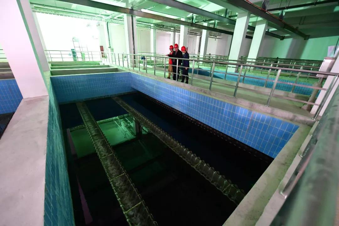 通州新建成的公园,通州新建的绿心公园