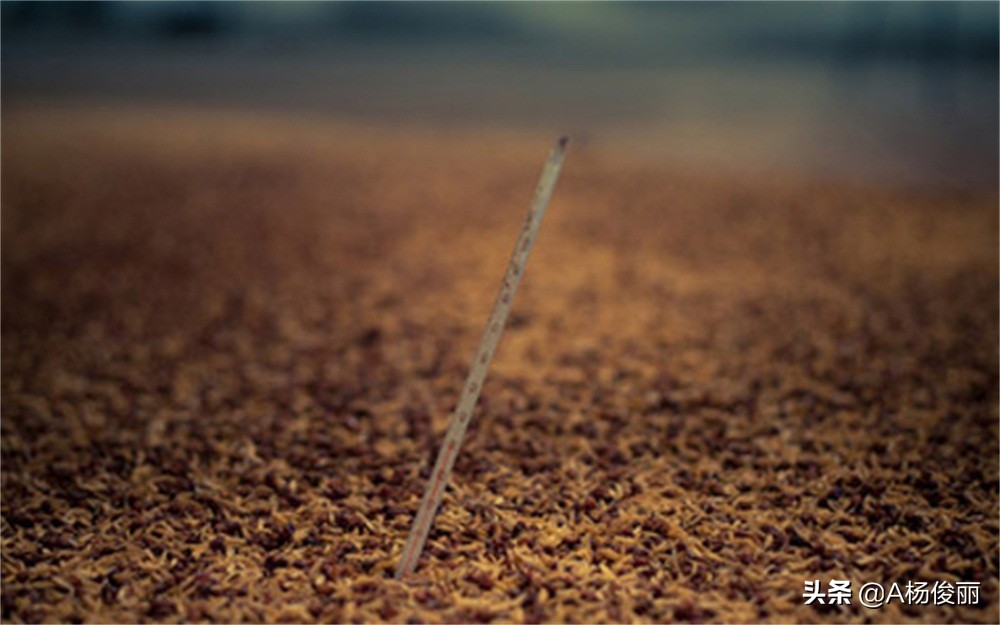 为什么老师傅酿酒的出酒率高,酿酒出酒率排名