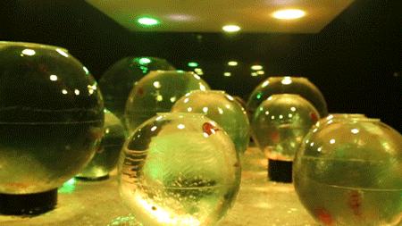 绚丽珊瑚海300+种海底生物，火爆盆友圈的网红打卡圣地就在中山路