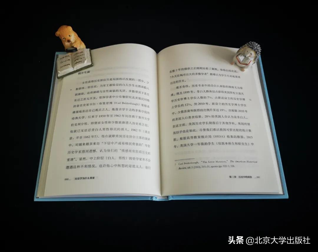 历史学家的贡献,历史学家都是做些什么
