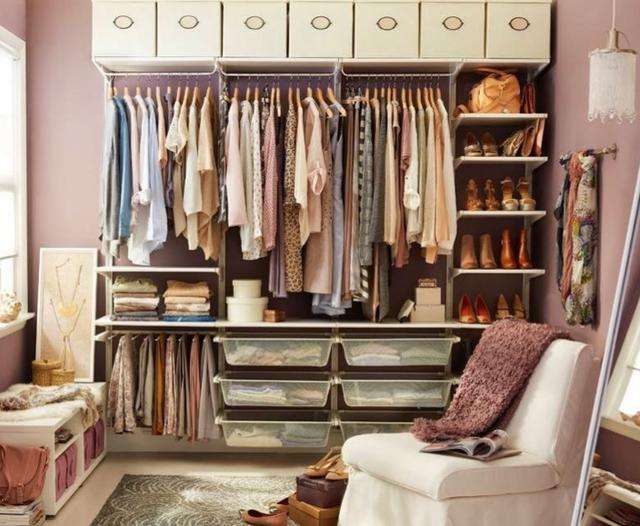 衣柜长了很多黑色小虫子,定制衣柜里面有小虫子什么原因