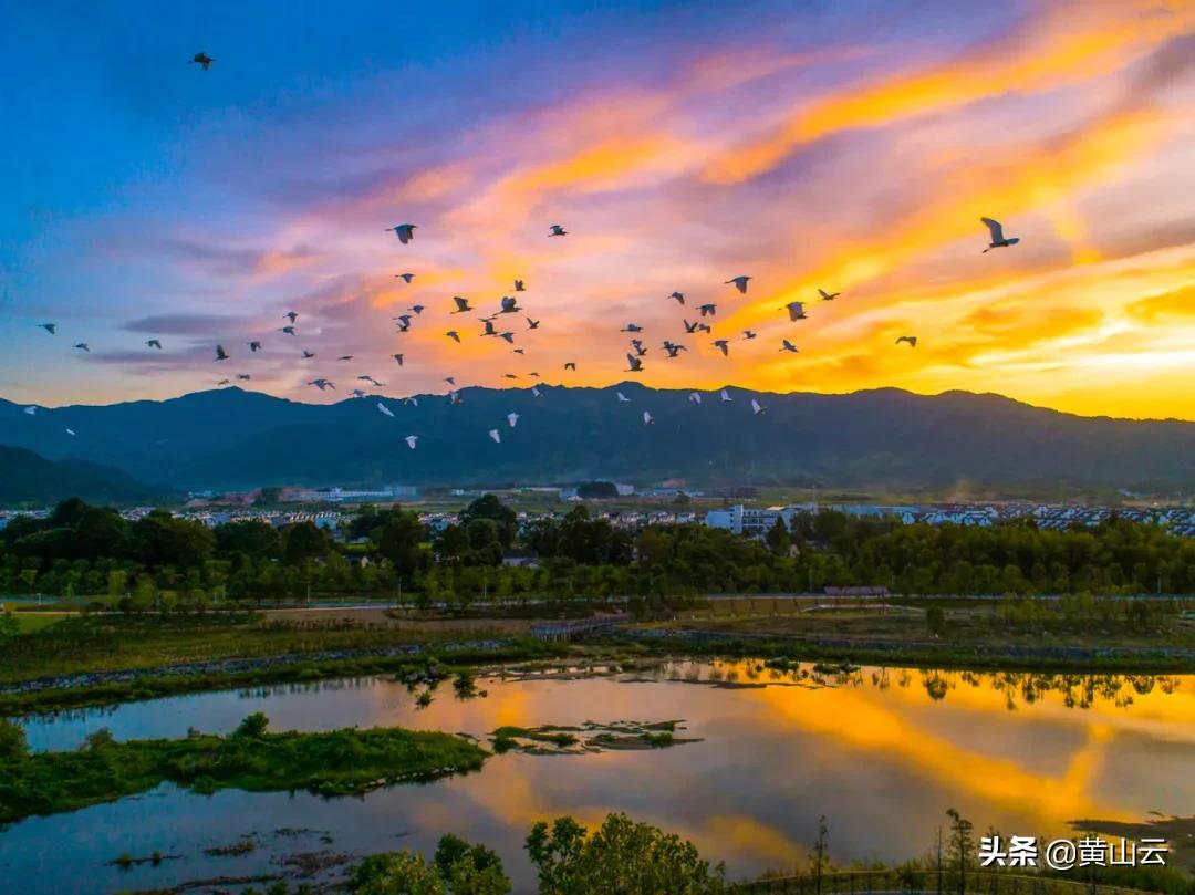 中国最美景区安徽黄山,黄山区甘棠最美乡村