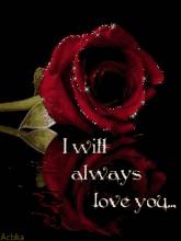 520祝福语表达爱意句句温馨美好,520祝福语送给最在乎的人